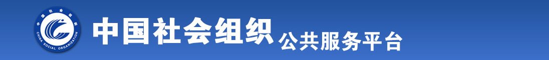 操逼好爽下载全国社会组织信息查询